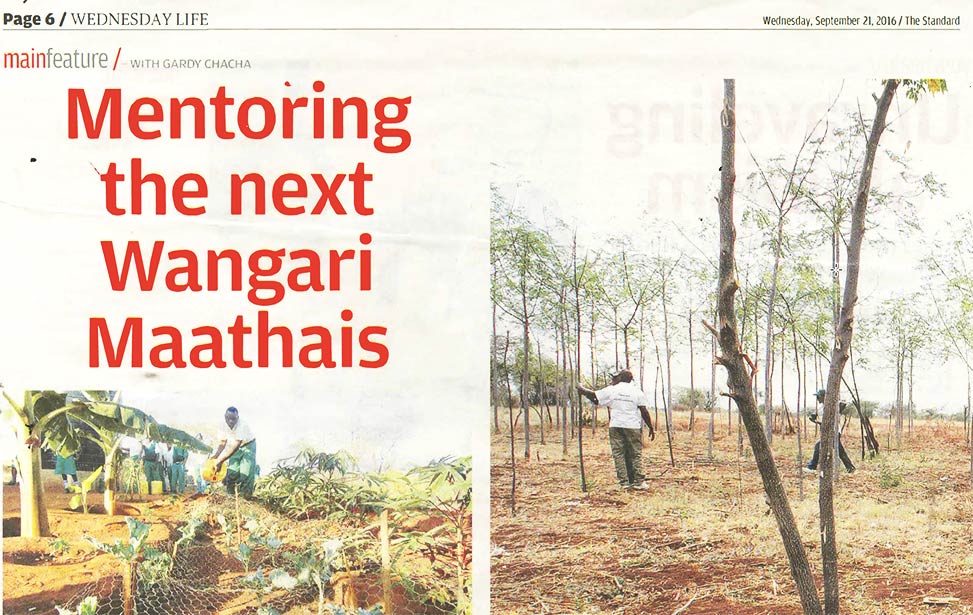 Mentoring the next Wangari Maathais