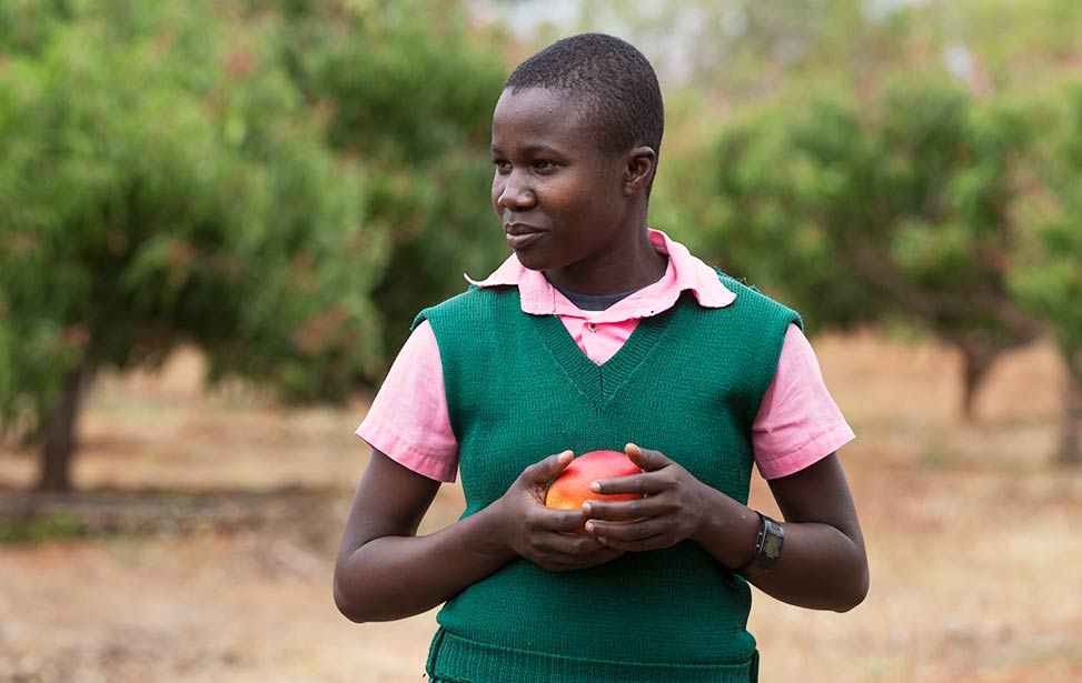 Schools in dry regions plant trees