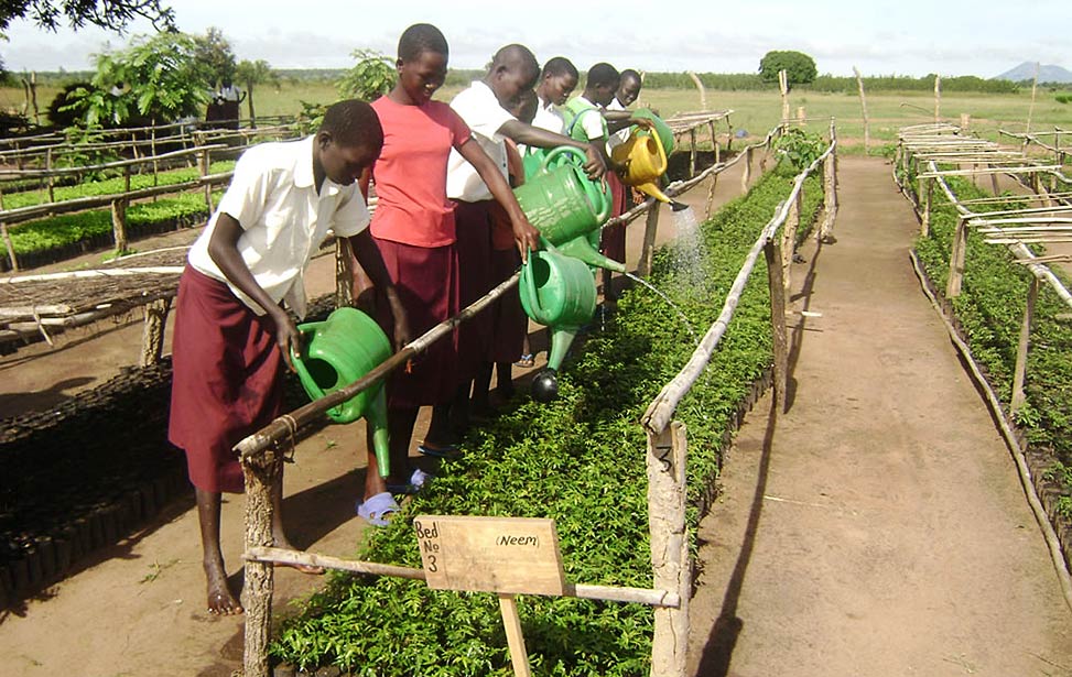 Ukambani is moving from brown to green through the Green Initiative Challenge