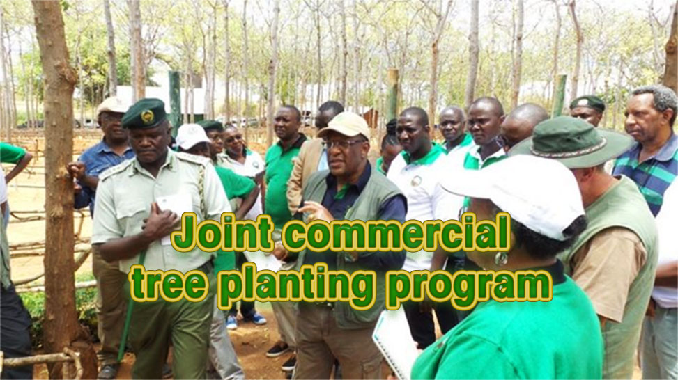 Joint commercial tree planting program supported by Better Globe Forestry