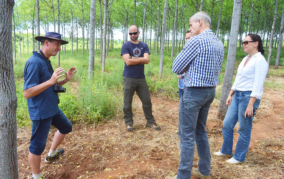 Technical briefing of tree planting