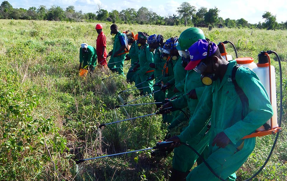 Better Globe Forestry takes the health and safety regulations in handling chemicals very seriously