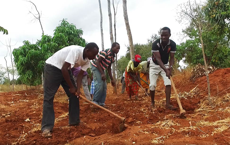 Contract farmers of Better Globe Forestry