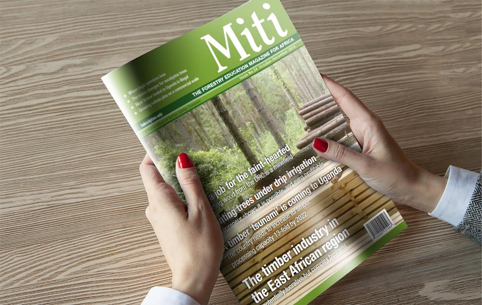 Miti tree business magazine