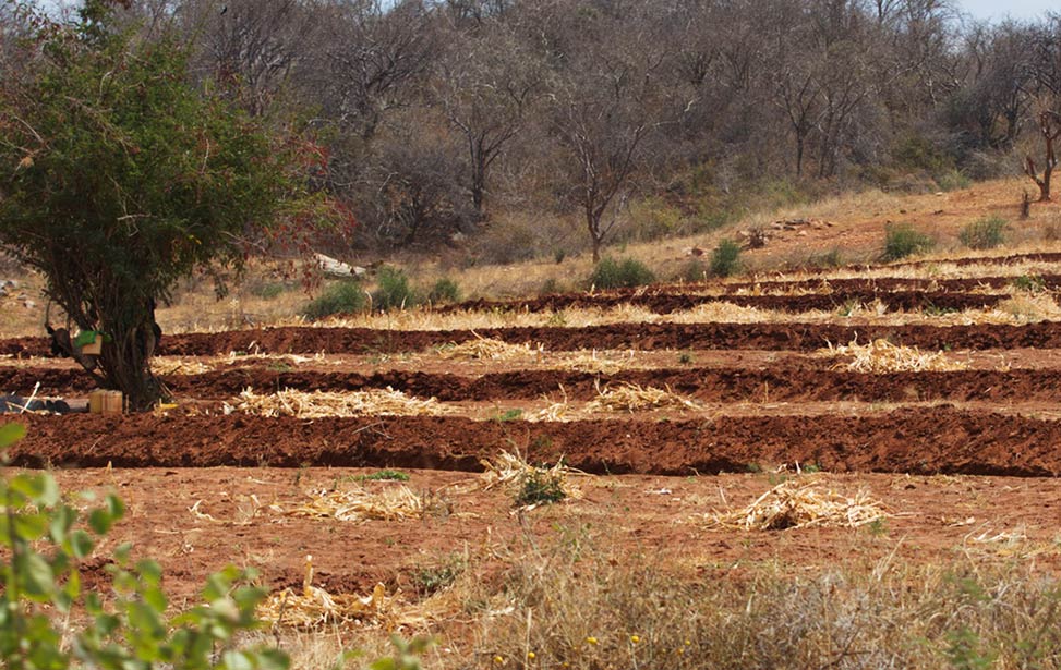 Ditches for water retention