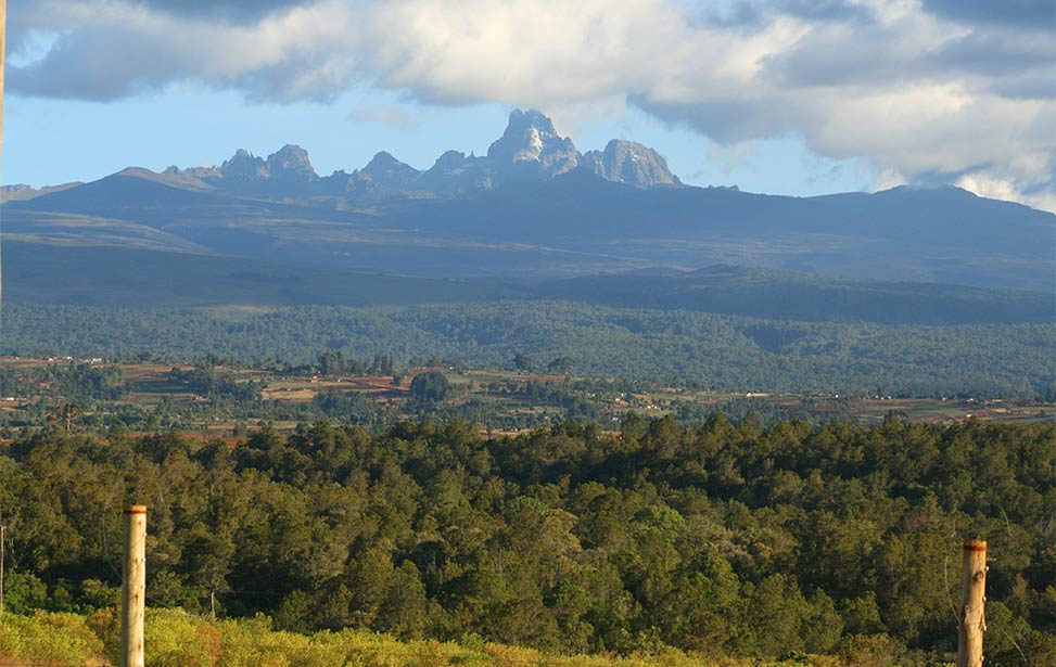 Mt Kenya