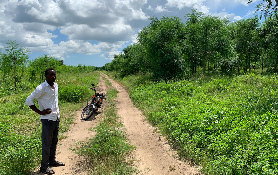 Plantation entrance