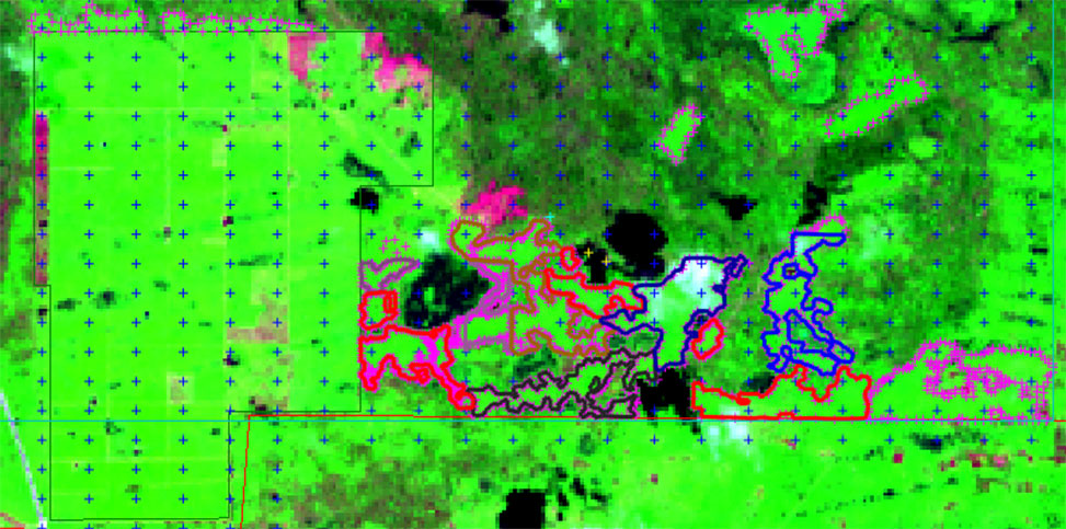 Raw Data Raw Data