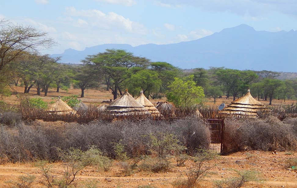 Better Globe Forestry ventures into Karamoja