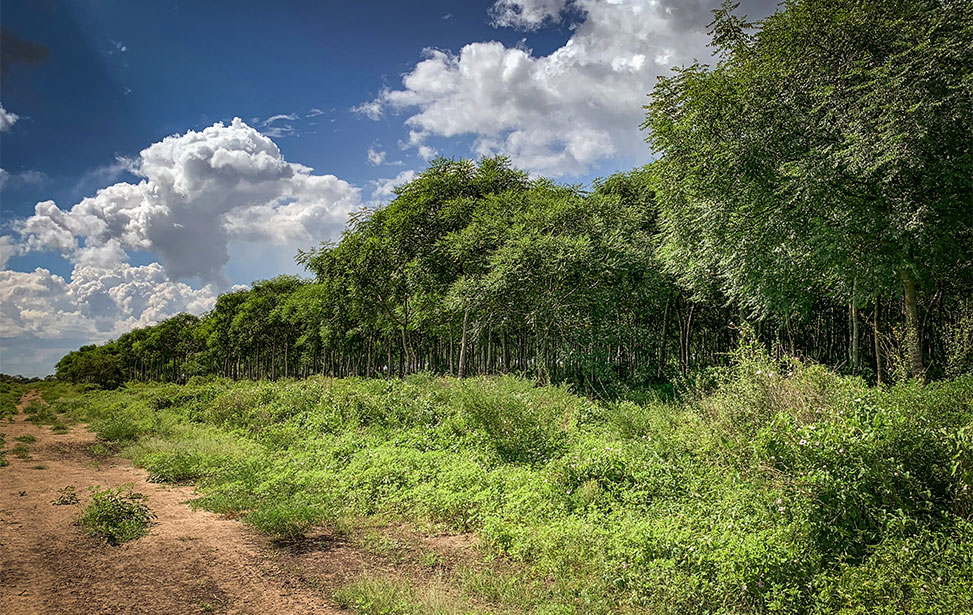 Visit to Nyongoro, Kenya