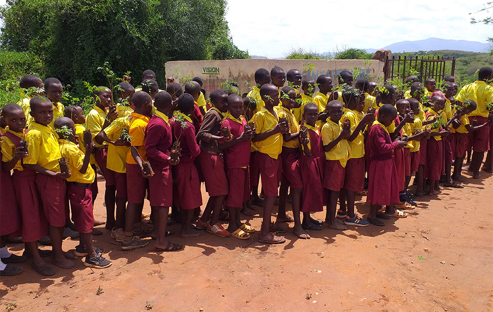 Planning for seedling distribution and planting with schools