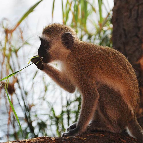 Africa trip 2009