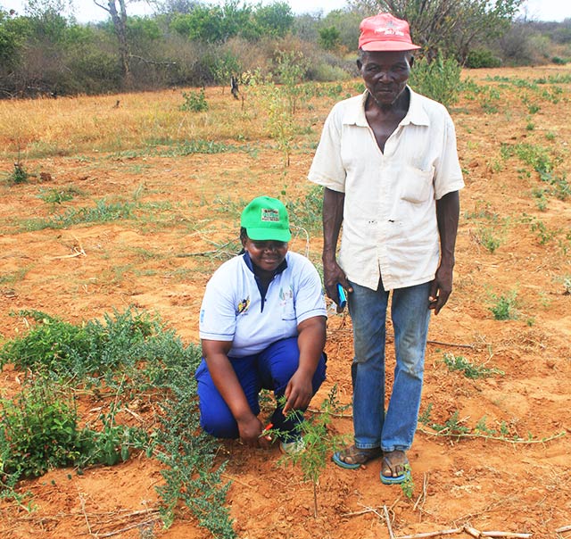 Better Globe Forestry's farmers program