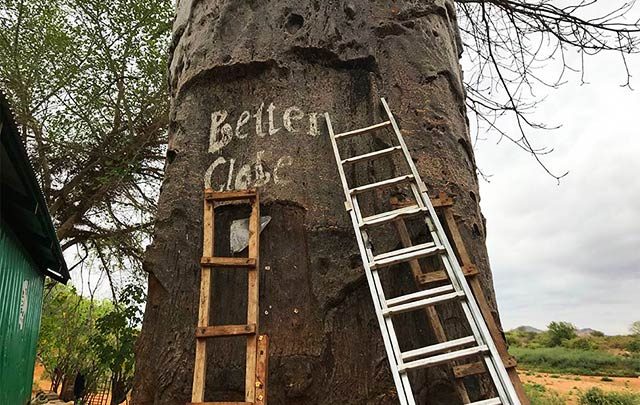 Better Globe Forestry shares their tree plantation knowledge with other organizations