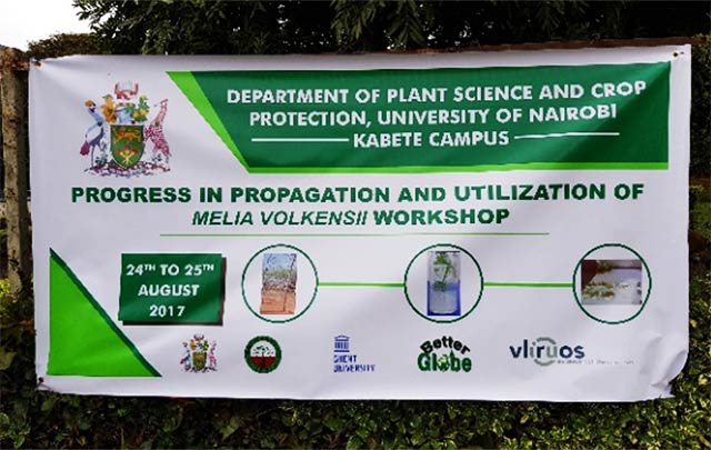 Workshop to discuss progress in propagation and utilization of Melia volkensii