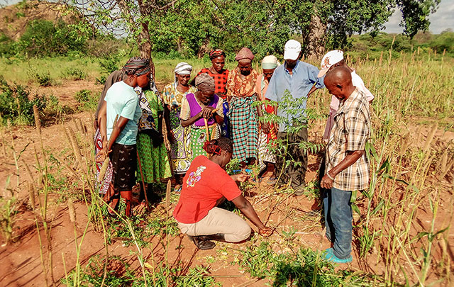 Training of Keitha Mukau Growers