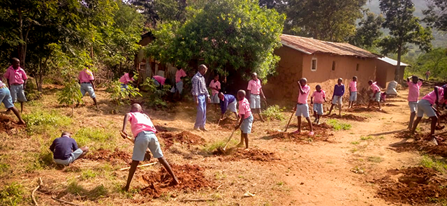 Pupils planting trees