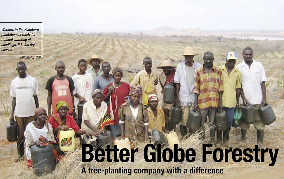 Better Globe Forestry - A tree-planting company with a difference, Miti 10