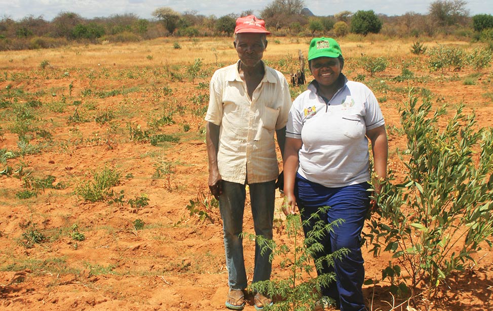 Agroforestry agent Florence Muthui