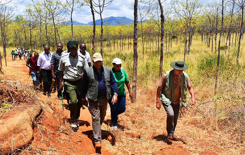 Cabinet Secretary visits our Kiambere Plantation